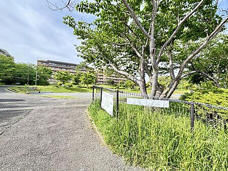 野比松葉公園まで約610m（徒歩8分）