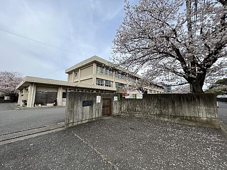 横須賀市立神明小学校まで約620m(徒歩8分)