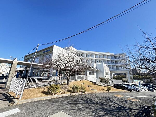 周辺を拡大表示