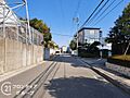 写真だけではわ...