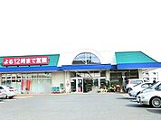 カスミ大穂店（1600m）