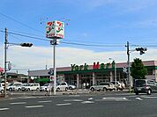 ヨークマート成田店（260m）