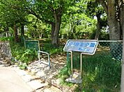 青山台北公園（220m）