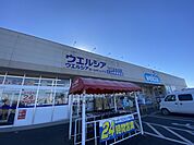 ウエルシアつくば吉沼店（3115m）
