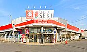 ドラッグストアセキ 栗橋北店（1500m）