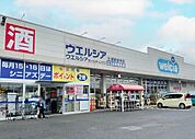 ウエルシア　土浦新田中店（1300m）