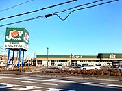 ジョイフーズ　牛久さくら台店（875m）