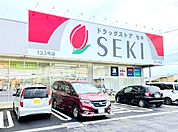 ドラッグストアセキ荒川沖店（1600m）