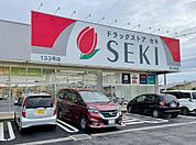 ドラッグストアセキ荒川沖店（1600m）