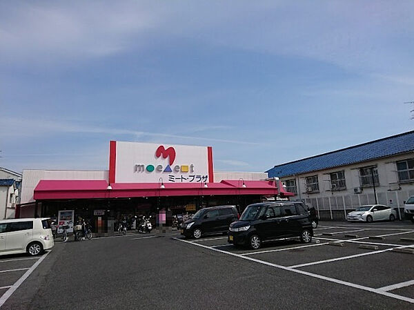 画像29:【スーパー】ミートプラザ 高鷲店まで341ｍ