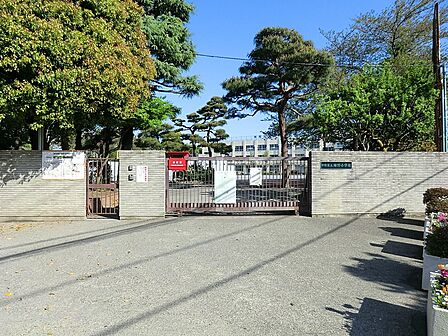小学校 550m 中野区立緑野小学校