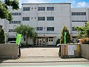 中学校 900m 小金井市立小金井第二中学校