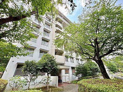 外観：溢れる陽光でご家族の笑顔も輝く 