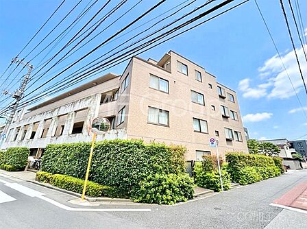 生活に便利な地に伸びやかな家族の生活風景を描く住まい