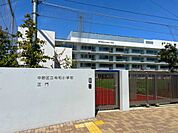 小学校 900m 中野区立令和小学校