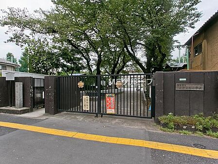 小学校 650m 練馬区立石神井西小学校