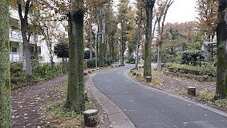公園 400m 浮間けやき通り