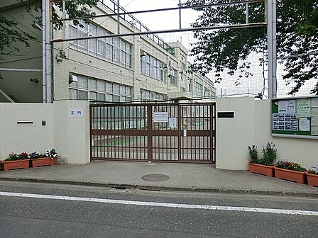 中学校 900m 杉並区立神明中学校