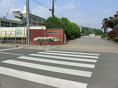 小学校 500m さいたま市立泰平小学校