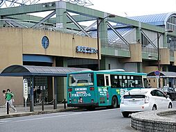 東久留米市神宝町1丁目　土地　全1区画
