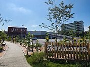 ショッピングセンター 2900m 東大和リビングテラス
