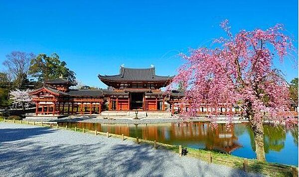 周辺を拡大表示