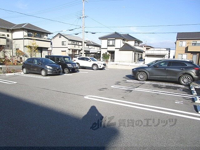 12 / 20
