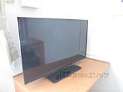 テレビ