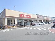 コープ　ながはま店まで900メートル