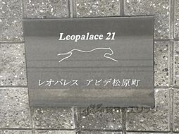 20 / 32