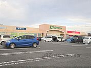 フレンドマート　湖北店まで2300メートル