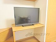 テレビ