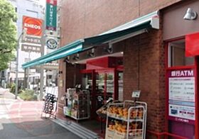 PREMIUM CUBE 飯田橋#mo 409 ｜ 東京都新宿区新小川町4-9（賃貸マンション1K・4階・25.52㎡） その25