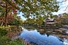 周辺：井の頭恩賜公園の紅葉03 3095m