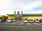 ウオロク東新町店（650m）
