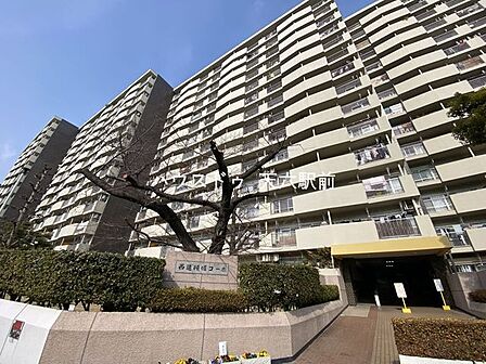 総戸数の多いビッグコミュニティ。敷地内は植栽も整い、落ち着いた雰囲気です