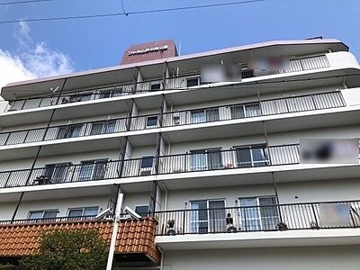 外観 外観
