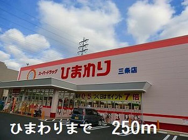 画像14:ひまわりまで250m