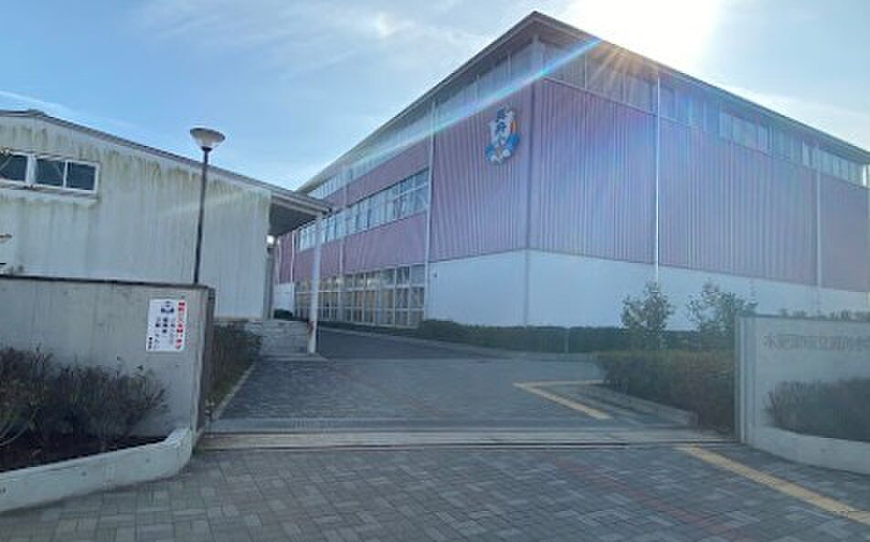 Image 11