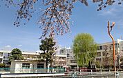 市川市立真間小学校（300m）