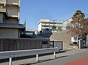 松戸市立矢切小学校（508m）