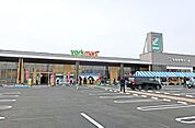 ヨークマートもねの里店（1600m）
