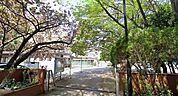 藤心小学校（1354m）
