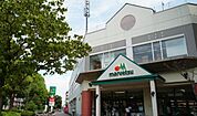 マルエツ新志津店（900m）