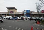 イオンタウン東習志野（700m）