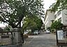 周辺：鎌ケ谷市立中部小学校（946m）