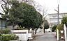 周辺：柏市立柏第五小学校（700m）