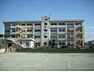 周辺：桜木小学校（1100m）