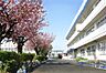 周辺：吾妻小学校（700m）