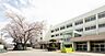 周辺：高根東小学校（800m）